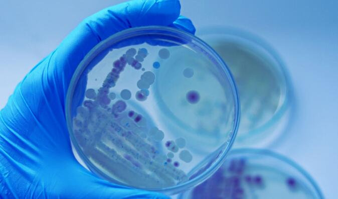 1710396562266576.jpg QQ截圖20240314140820.jpg