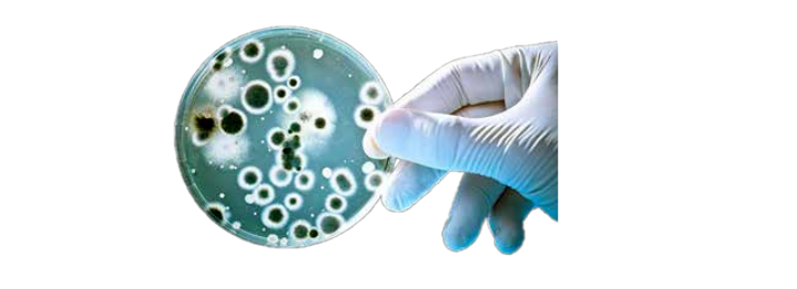 1724665182288514.png QQ截圖20240826173647.png